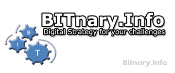 Bitnary.info's Digital Strategy for your Challenges