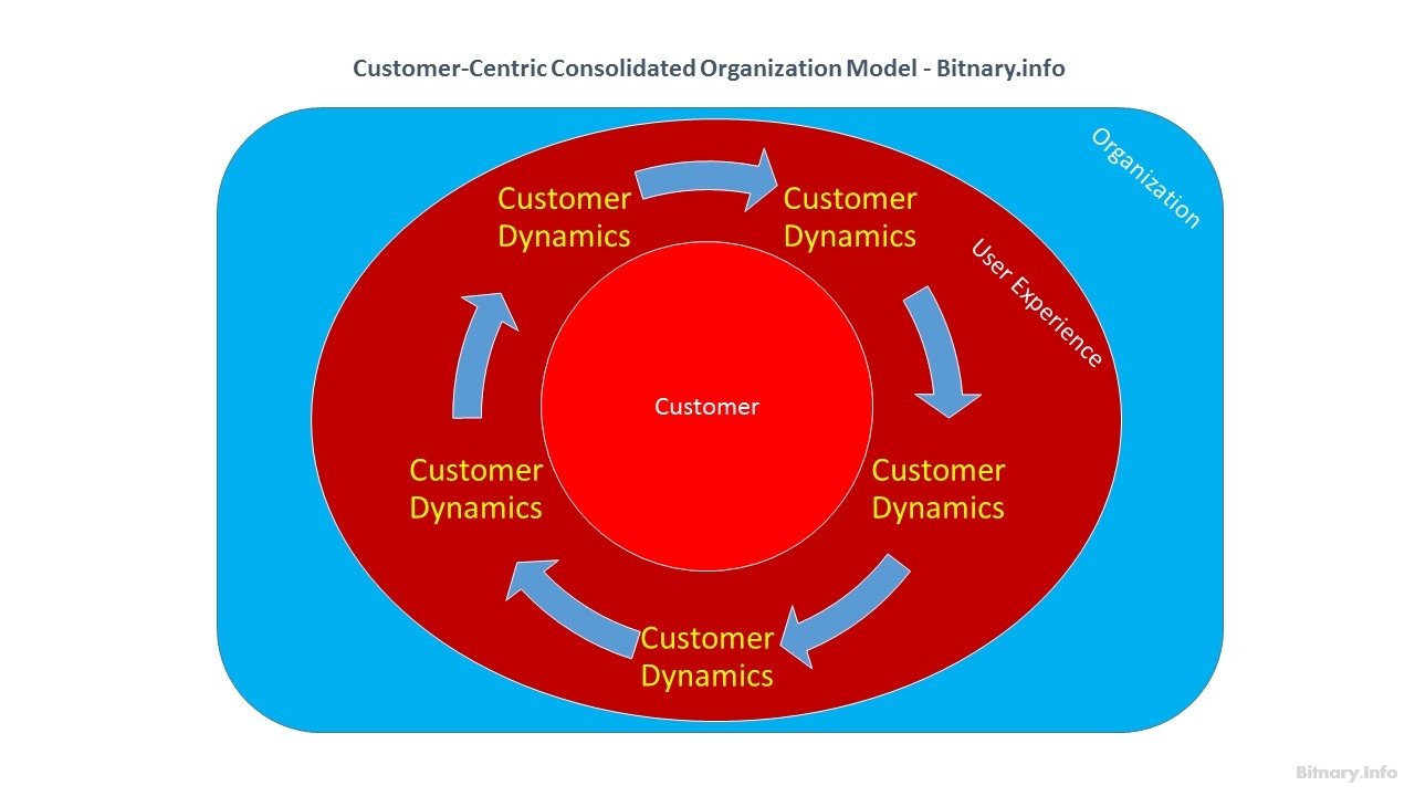 Customer-Centric Consolidated Digital Organization Model - Bitnary.info